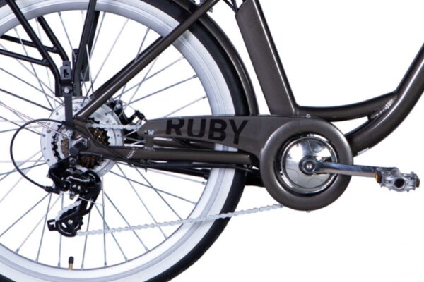 Cykel bakhjul med kedja och växelsystem.