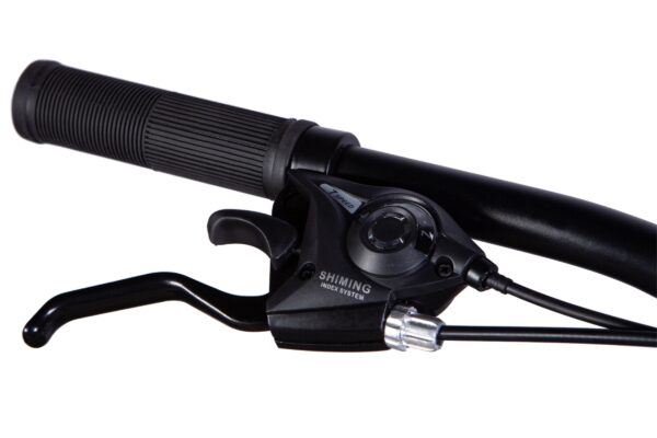 Cykelhandtag med växelspak och broms.