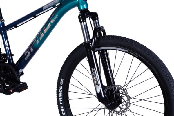 Mountainbike framhjul och gaffel i närbild