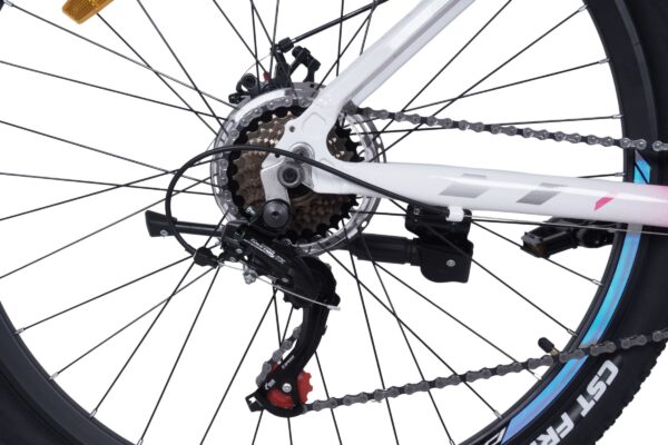 Närbild av cykelns bakväxel och kedja