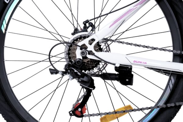 Cykeldetalj med kedja och baknav