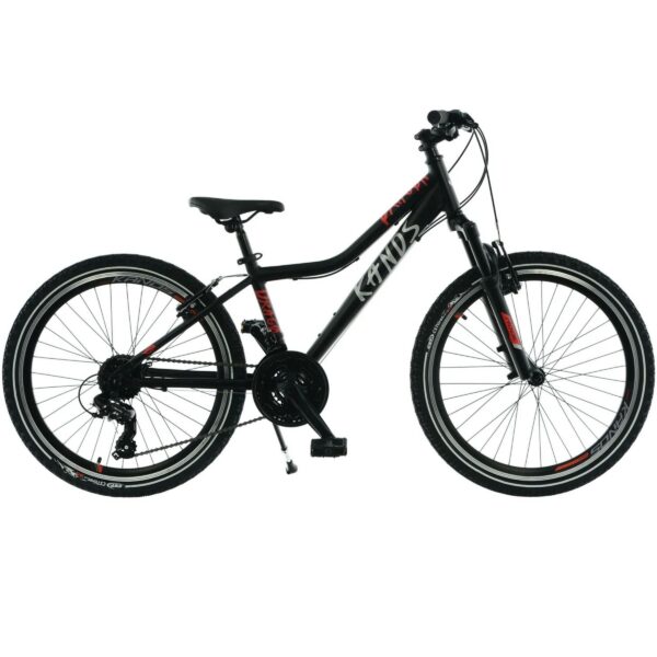 kands dragon 24