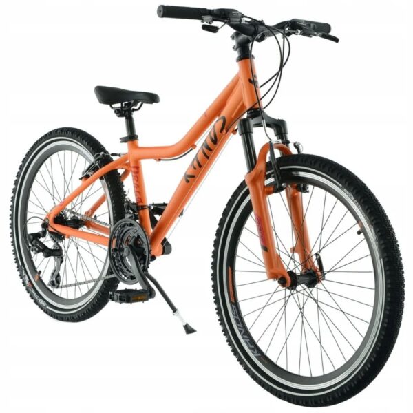 kands dragon 24