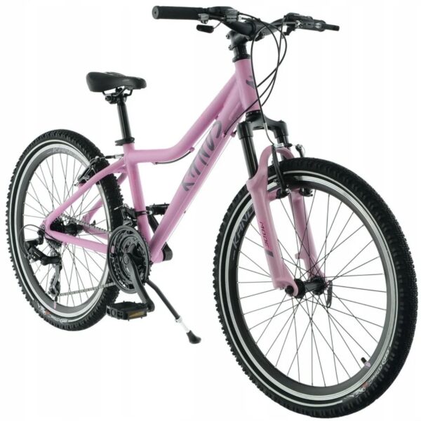 kands dragon 24
